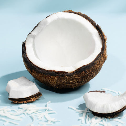 Coconut