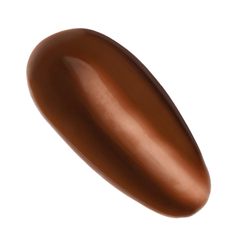 Mocha Coffee Smoothie Lip Treatment